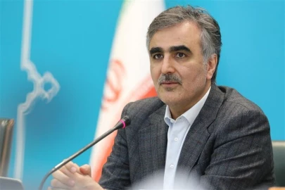 فرزین:آیین‌نامه واردات خودرو از محل ارز اشخاص خارج از کشور فردا تصویب می‌شود
